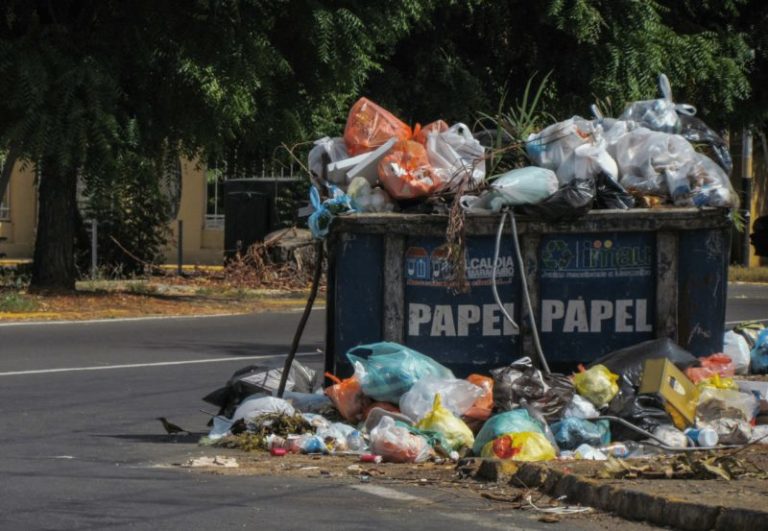 Contaminación de Basura en las Calles: [Concepto, Causas, Consecuencias