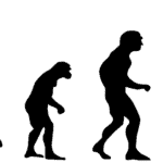 Teoría Sintética de la Evolución: [Concepto, Representantes, Tipos y Aportes]
