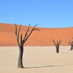 Desiertos áridos