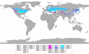 Dónde se ubica el clima continental templado geográficamente