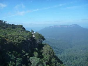 Selva subtropical de montaña