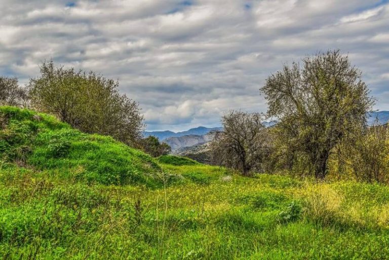 Clima Semiárido [Características, Flora, Fauna y Adaptabilidad]
