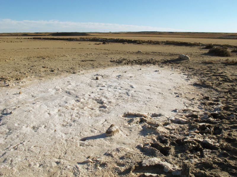Qué nivel de lluvia tiene el desierto de Los Monegros