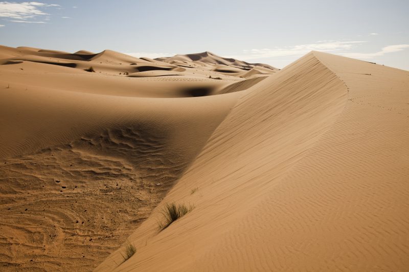 Qué nivel de lluvia tiene el desierto del Sahara